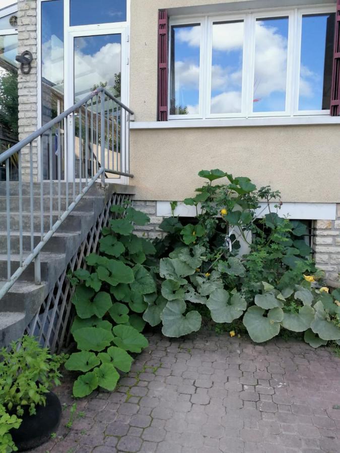 Un Verger Dans La Ville Saint-Parres-aux-Tertres Экстерьер фото